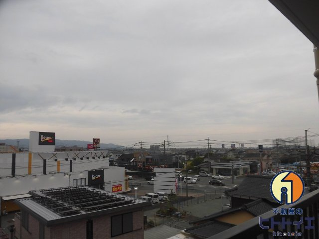 ラブラドールの展望