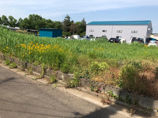 【前面道路含む現地写真】