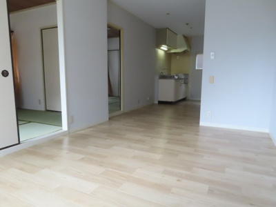  | ステラコート24