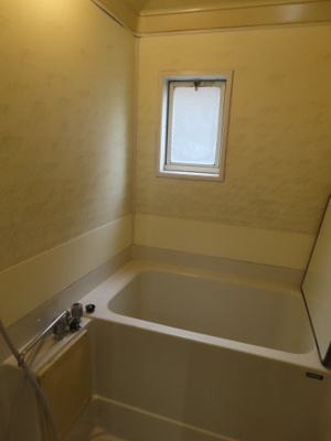  | ステラコート24