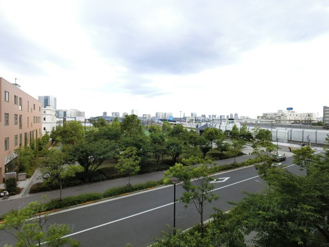 ソフトタウン晴海の展望