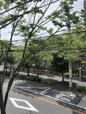 【展望】 | エミーコーポ | 眺め