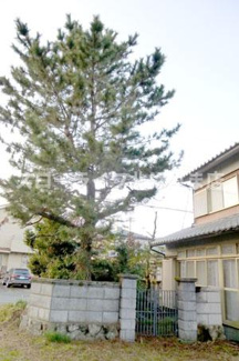 【庭】 | 西脇市嶋