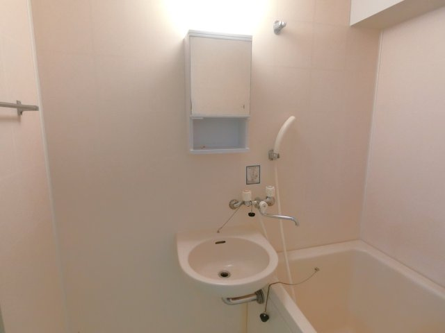 ハイツブライトの洗面所