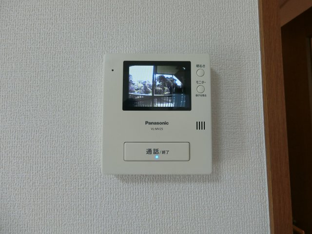 カスタリアのセキュリティ