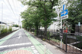 【周辺】 | 桜並木の道路は、ペットとの散歩に最適です。