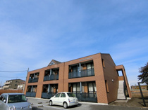 cotton classicの画像