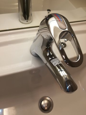  | THEパームス三鷹ビバーチェ | シャワー付き　この水栓が根元から延びます