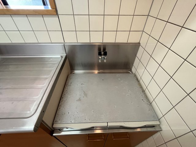 ソラーレ広島のその他