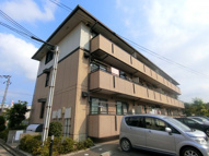 ウインドミル1の画像