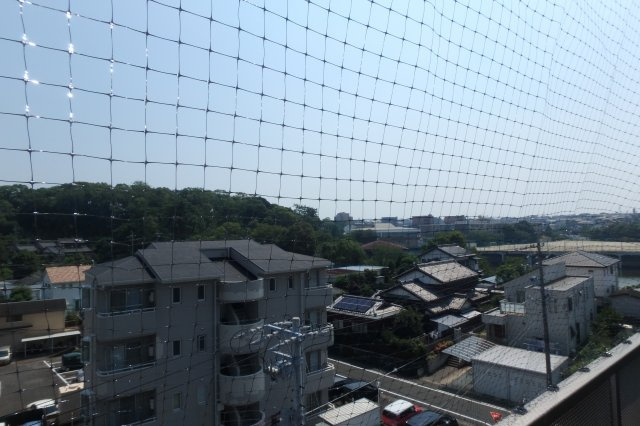 サンシャイン星崎の展望