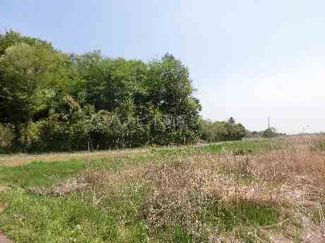 【外観】 | 蓮田市黒浜・売地