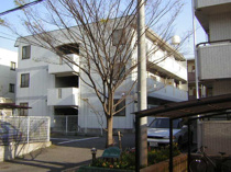 ニューアケディアの画像