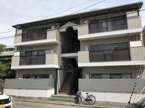 江上イエムの画像