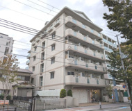 サングローリーの画像