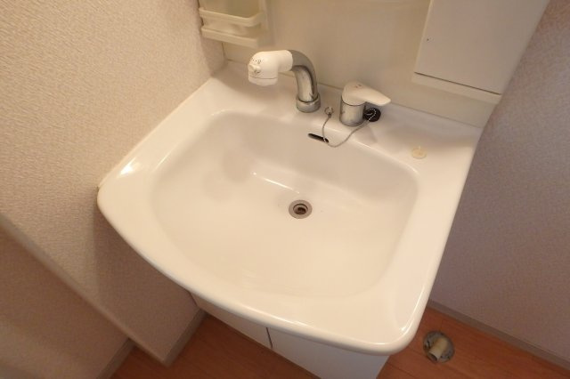 フラワーハイツの独立洗面台