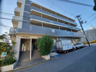 コートスミューの画像