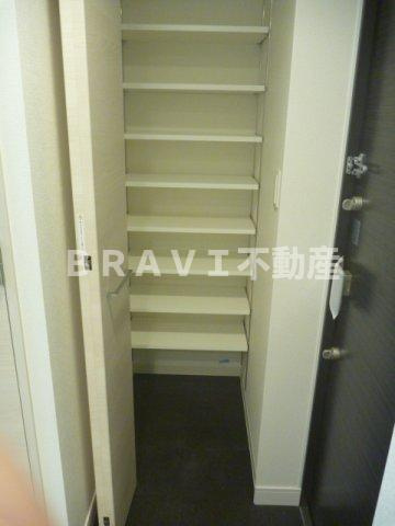 プレサンス心斎橋レヨン　BRAVI不動産の収納|【プレサンス心斎橋レヨン】小物を収納するのに便利です