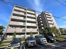 エオリアンハープの画像