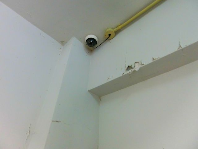 パインリーフ和泉のその他