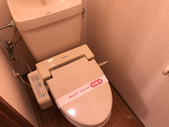ラヴィーヌのトイレ