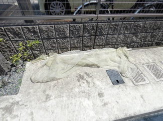 【その他共用部分】 | Phil Glanz