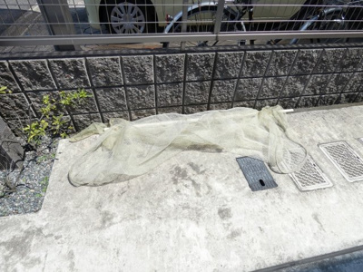 【その他共用部分】 | Phil Glanz