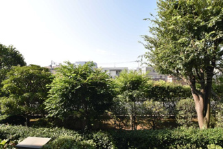 【展望】 | 物件のお問い合わせは、 ０３－６７２１－０８１８までお気軽にどうぞ！
バルコニーからの眺望
