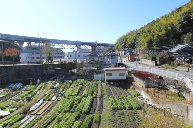 佐伯文化の展望