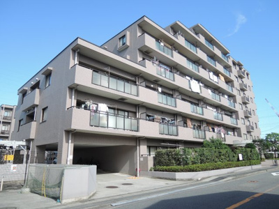 【外観】 | ステイツ武蔵新城市民プラザ通り | JR南武線「武蔵新城」駅バス10分「子母口」停歩4分・「武蔵中原」駅徒歩20分！