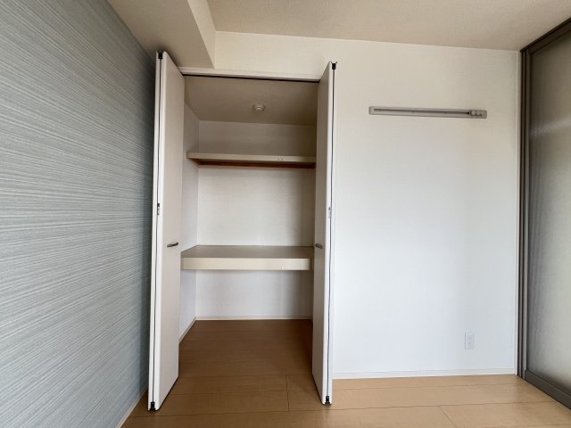 スタースレイプの収納|南側洋室クローゼット