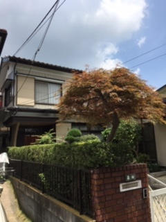 【外観】 | 南向き。