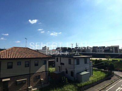  | ロイヤルパーク真伝