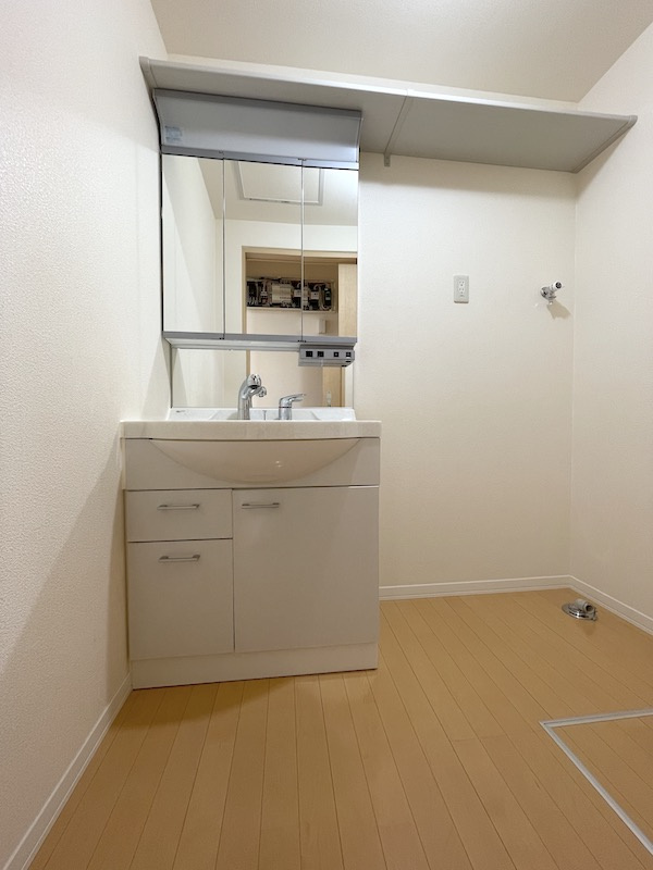 メゾンマスト盛南Ⅴの洗面所