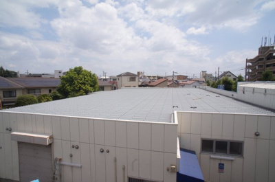 【展望】 | ネオコートケマ