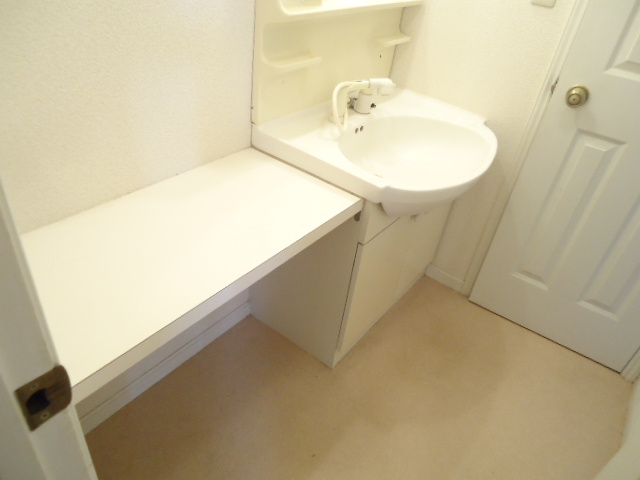 アーバンライフ1番館の洗面所