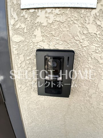  | コスモス