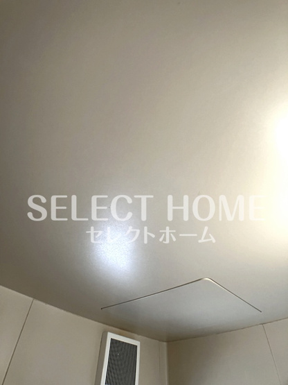  | コスモス