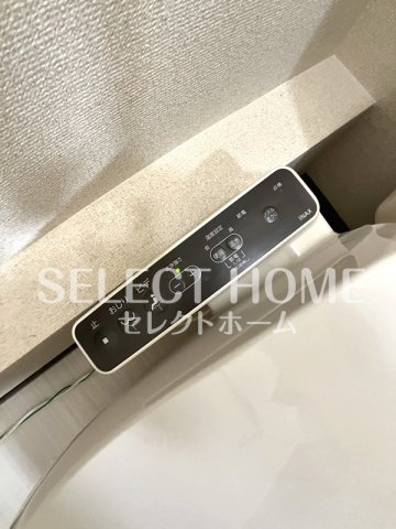  | コスモス