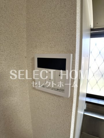  | コスモス