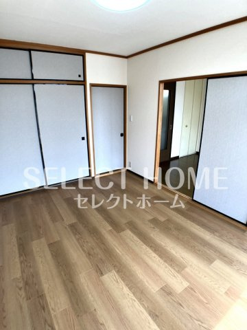  | コスモス