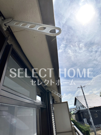  | コスモス
