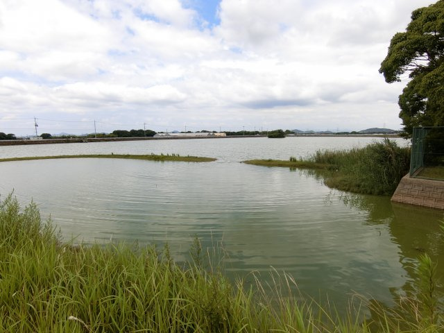 加古郡稲美町野寺　土地の周辺|近隣の経ノ池　水鳥が飛来して豊かな自然を感じれる住環境です