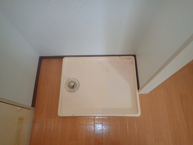 ハイコートやはたの洗面所