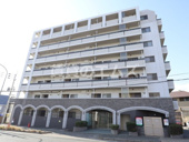 Ｅｑｕａｌ諸岡の画像