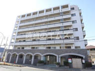 Ｅｑｕａｌ諸岡の画像
