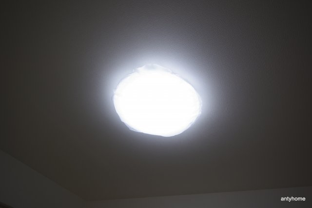 ショウエイ靭　仲介手数料無料の内装