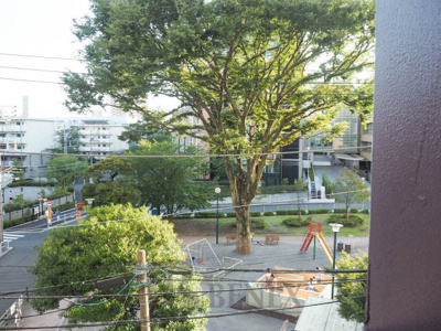 【周辺】 | プライマル新宿若松町 | イプセ新宿若松町の周辺環境です