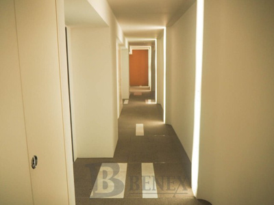 【その他共用部分】 | プライマル新宿若松町 | イプセ新宿若松町の廊下です