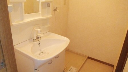 ストックパレス夏見台の洗面所|独立洗面台と洗濯機置き場です